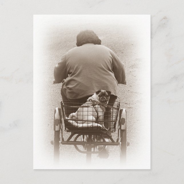 Junge und Mops, die auf der Postkarte fahren (Vorderseite)