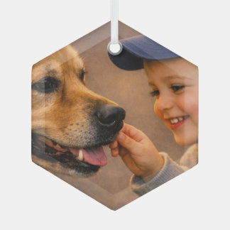 Junge und sein Hund Glas-Sechseck-Ornament Ornament Aus Glas