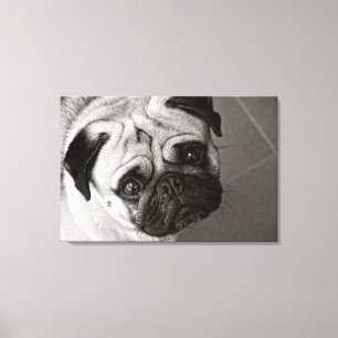 Junge von Pug auf Leinwand