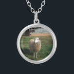 Junge weiße Schafe auf dem Bauernhof Versilberte Kette<br><div class="desc">Young White Sheep on Farm Foto von Sandy Closs "farm animal",  baby,  "baby dusche" Lamm,  "mommy schafe""white shadow", " lamb mutter"country "rustic wedding""lamb geschenke"shepherd,  Weihnachtscreme</div>