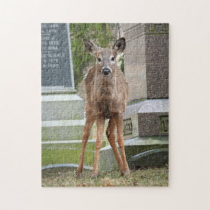 Junge Weißschwanzhirsche im Friedhof Puzzle