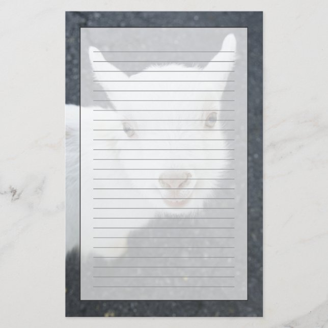 Junge Ziege Briefpapier (Vorderseite)