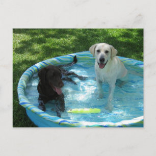 Jungen der Sommerpostkarte Postkarte