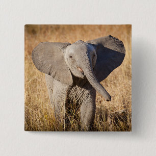 Junger Afrikanischer Elefant Button