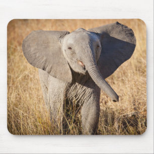 Junger Afrikanischer Elefant Mousepad