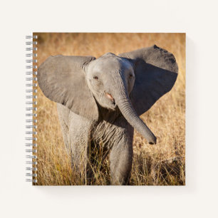 Junger Afrikanischer Elefant Notizbuch