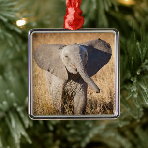 Junger Afrikanischer Elefant Ornament Aus Metall
