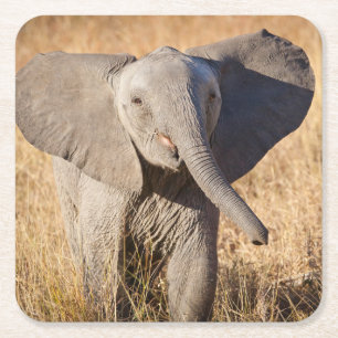 Junger Afrikanischer Elefant Rechteckiger Pappuntersetzer