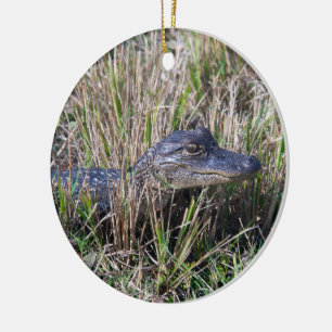 Junger Alligator im Sumpfgras Wildlife Natur  Keramik Ornament