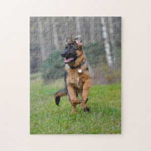junger deutscher Schäferhund im Lauf Puzzle