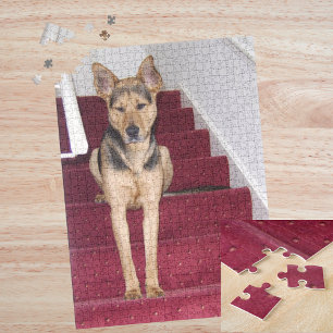 Junger deutscher Schäferhund sitzt auf Treppe 16x2 Puzzle