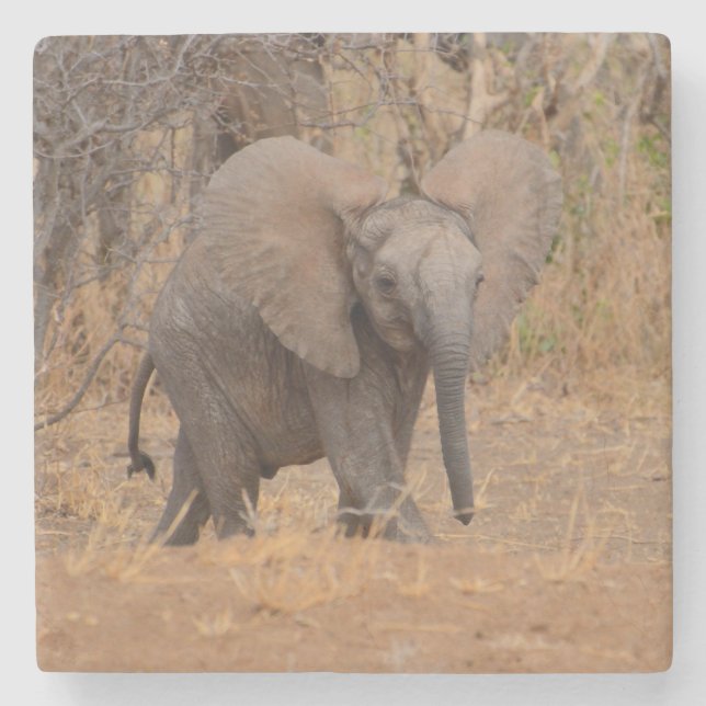 Junger Elefant mit blühenden Ohren. Steinuntersetzer (Vorderseite)