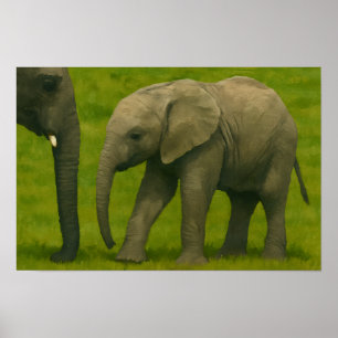 Junger Elefant mit Guardian im Grassy Reserve Poster