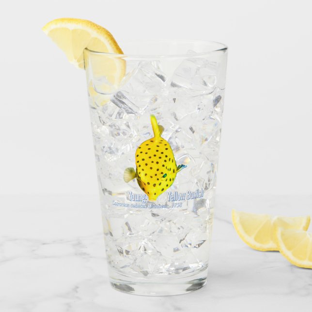 Junger Gelber Kofferfisch Glas (Vorderseite Ice)