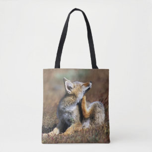 Junger Grauer Fuchs im Torres-Del-Paine-Nationalpa