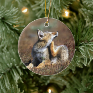 Junger Grauer Fuchs im Torres Del Paine Nationalpa Keramik Ornament
