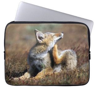 Junger Grauer Fuchs im Torres Del Paine Nationalpa Laptopschutzhülle