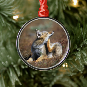 Junger Grauer Fuchs im Torres Del Paine Nationalpa Ornament Aus Metall