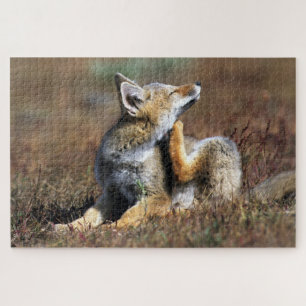 Junger Grauer Fuchs im Torres Del Paine Nationalpa Puzzle