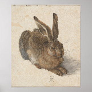 Junger Hase (Dürer 1502) Poster