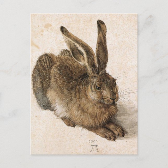 'Junger Hase' Postkarte (Vorderseite)