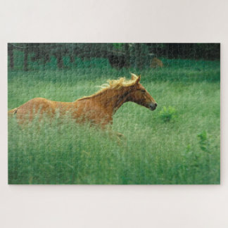 Junger Hengst läuft durch Wiese Puzzle