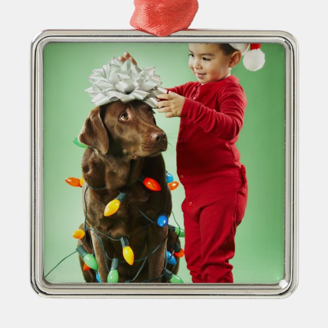 Junger Junge, der Weihnachtslichter um einen Hund Silbernes Ornament (Vorne)