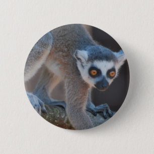 Junger Lemur-Knopf Button