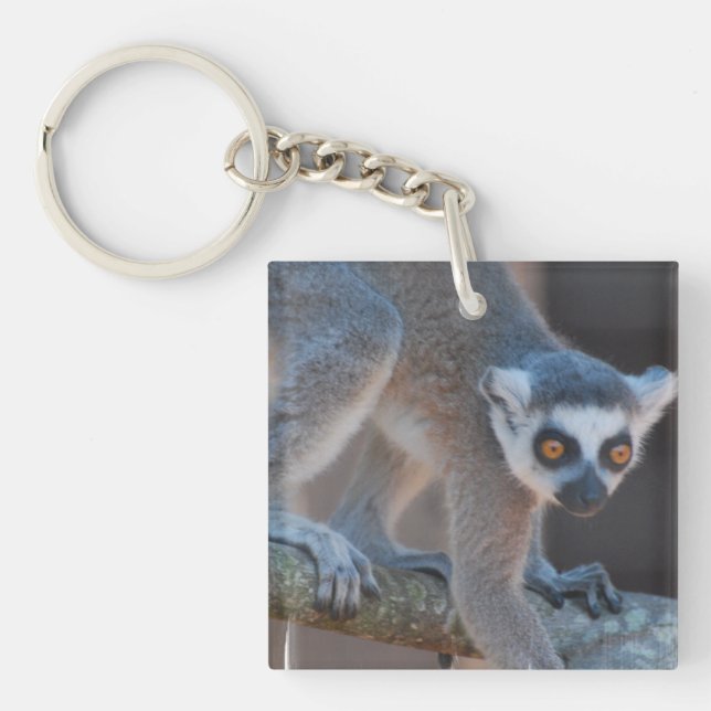 Junger Lemur-Schlüsselanhänger Schlüsselanhänger (Vorderseite)