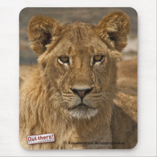 Junger Löwe Mousepad