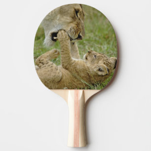 Junger Löwe spielt Tischtennis Schläger