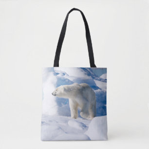 Junger männlicher Eisbär