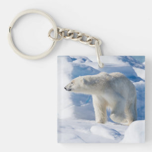 Junger männlicher Eisbär Schlüsselanhänger
