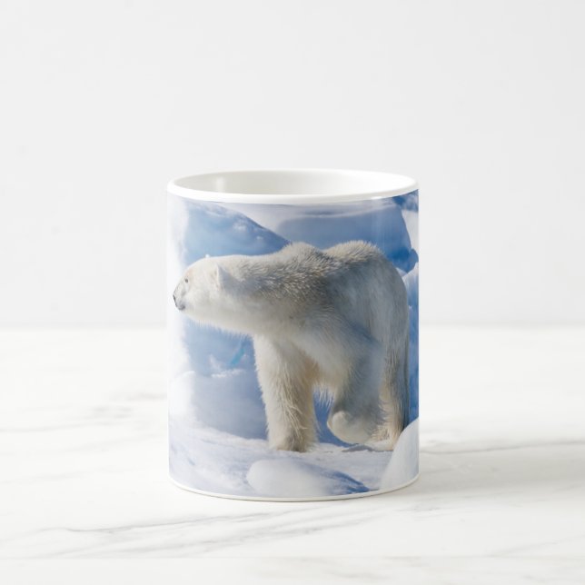 Junger männlicher Eisbär Tasse (Mittel)