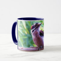 Junger männlicher flaumiger Specht auf Geländer