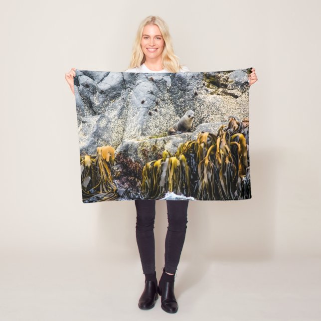 Junger Pelz Siegel auf dem Felsen Fleecedecke (Beispiel)