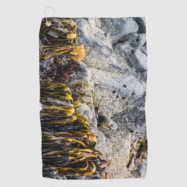 Junger Pelz Siegel auf dem Felsen Golfhandtuch (Vorderseite)