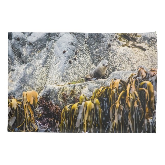 Junger Pelz Siegel auf dem Felsen Kissenbezug (Rückseite)