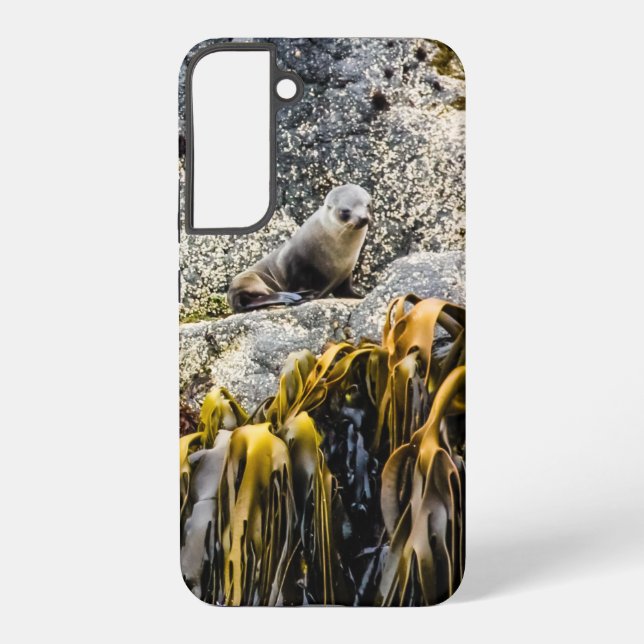 Junger Pelz Siegel auf dem Felsen Samsung Galaxy Hülle (Rückseite)
