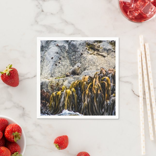 Junger Pelz Siegel auf dem Felsen Serviette (Beispiel)