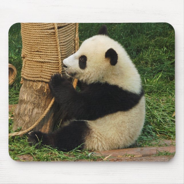 Junger riesiger Panda Mousepad (Vorne)