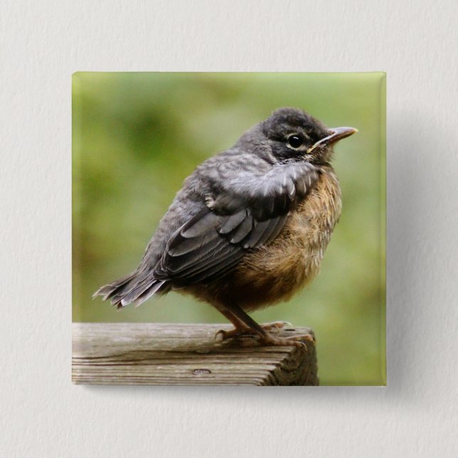 Junger Robin Button (Vorderseite)