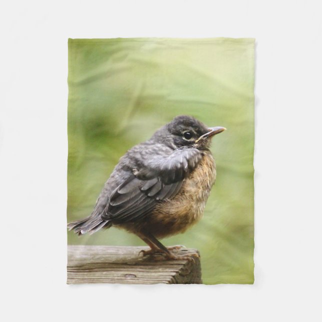Junger Robin Fleecedecke (Vorderseite)