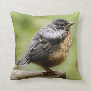 Junger Robin Kissen