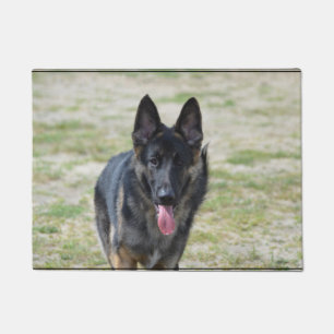 Junger Schäferhund Fußmatte