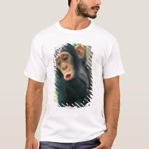 Junger Schimpanse (Pantroglodytes) T-Shirt