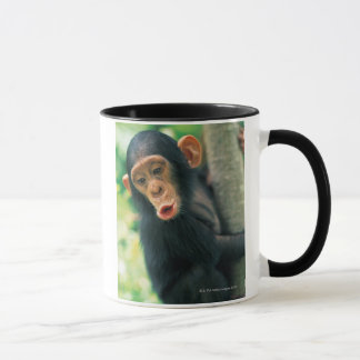 Junger Schimpanse (Pantroglodytes) Tasse