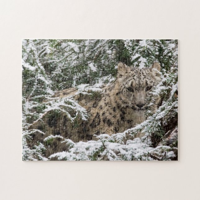 Junger Schnee-Leopard Puzzle (Horizontal)