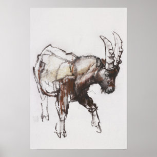 Junger Steinbock Gran Paradiso 2005 Poster