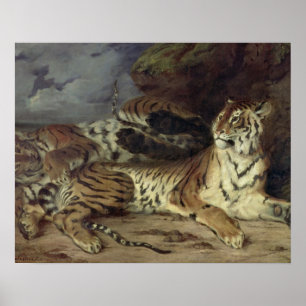 Junger Tiger, der mit seiner Mutter, 1830 spielt Poster